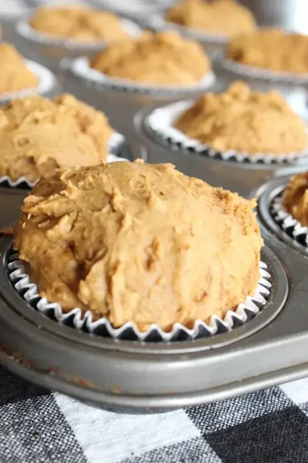 2-Ingredient Pumpkin Muffins